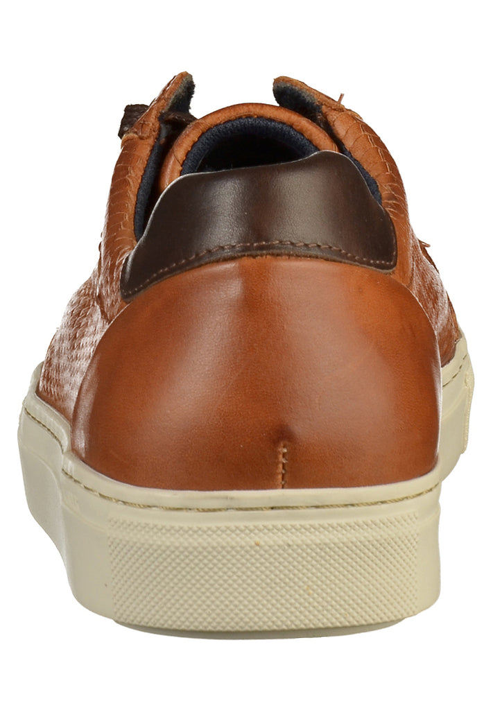 Salamander Sneaker Glattleder Cognac - surf4shoes