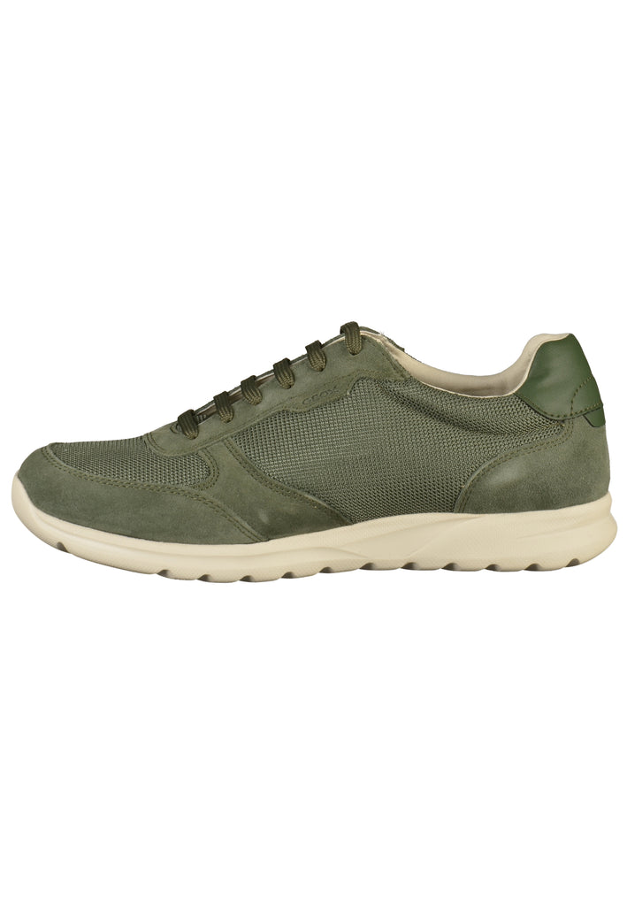 Geox Sneaker Leder/Synthetik Sage - surf4shoes
