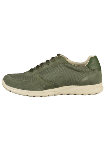 Geox Sneaker Leder/Synthetik Sage - surf4shoes