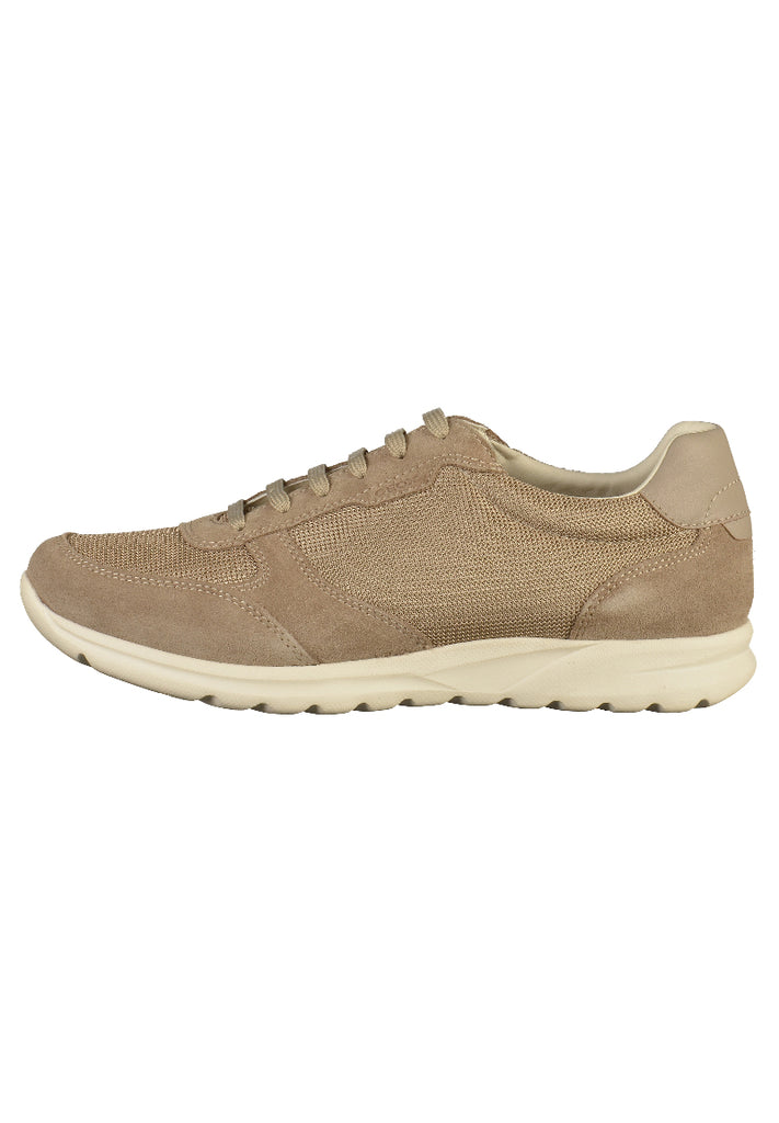 Geox Sneaker Leder/Synthetik Beige - surf4shoes