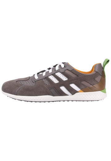 Geox Sneaker Leder/Textil Stone - surf4shoes