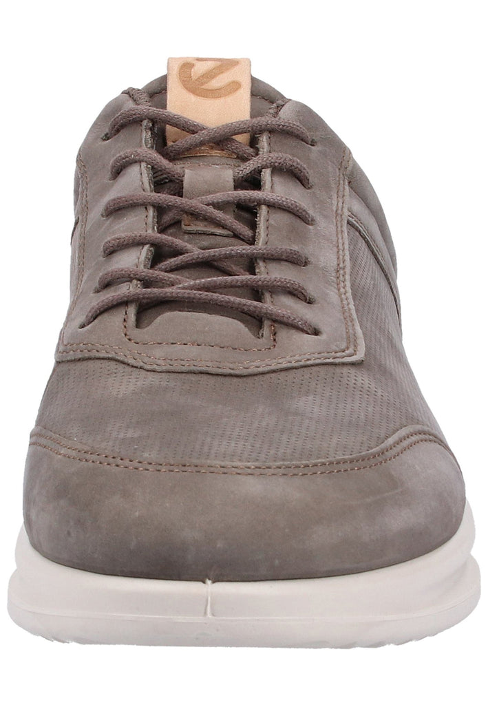 ecco Sneaker Nubukleder Dunkelbraun - surf4shoes