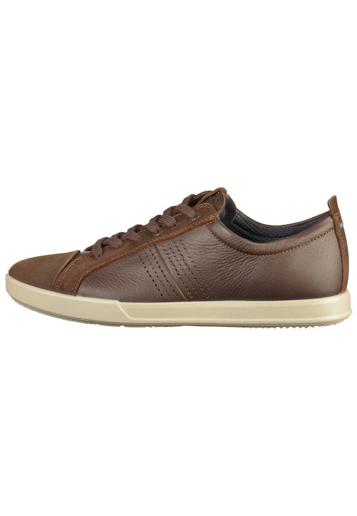 ecco Sneaker Leder Coffee - surf4shoes