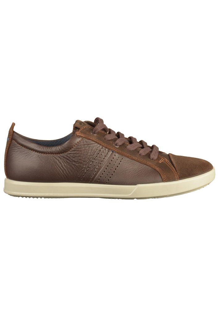 ecco Sneaker Leder Coffee - surf4shoes