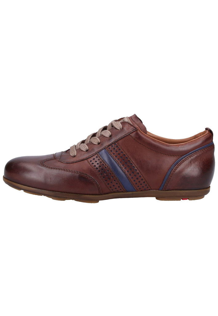 Lloyd Sneaker Glattleder Cigar - surf4shoes