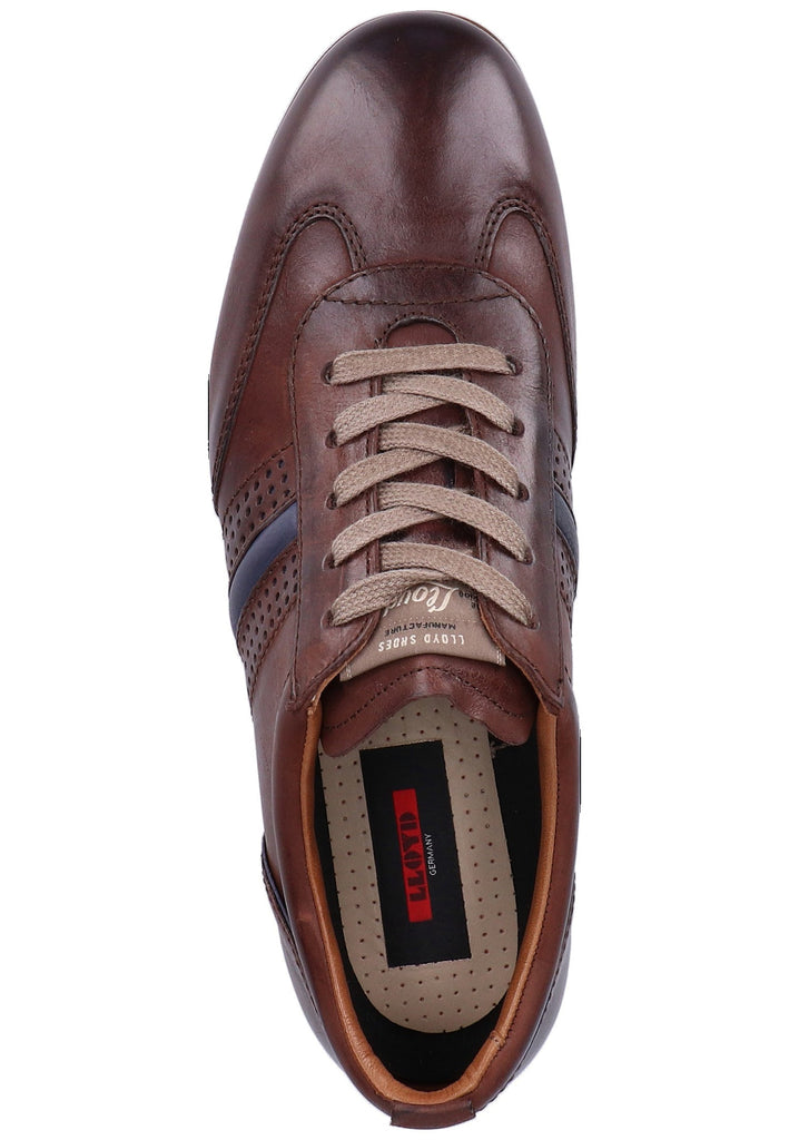 Lloyd Sneaker Glattleder Cigar - surf4shoes