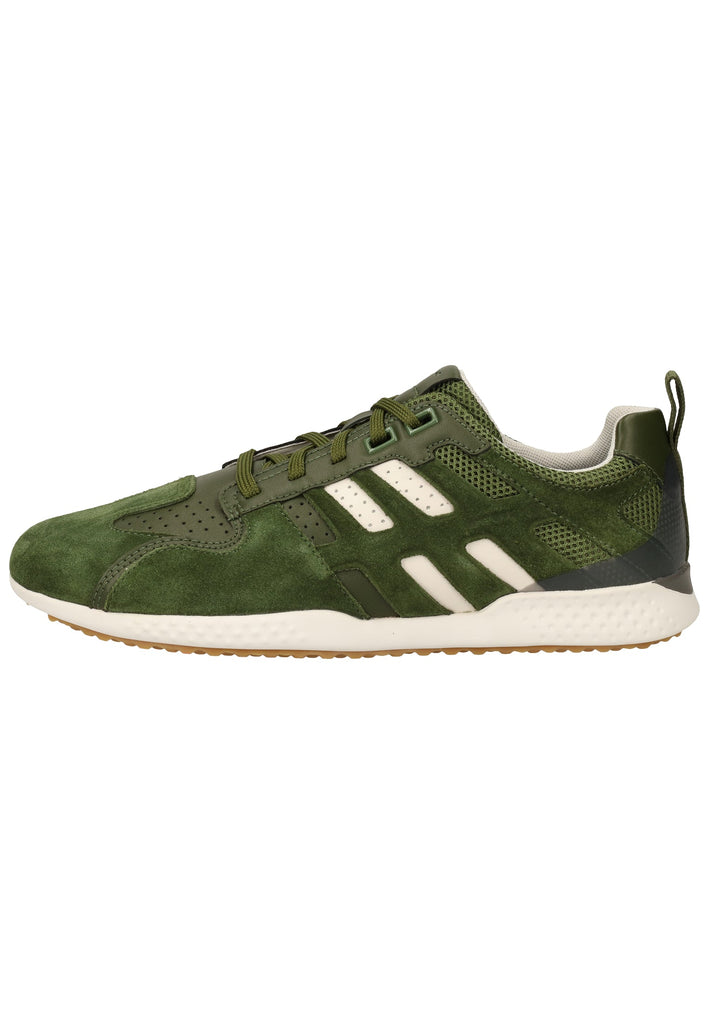 Geox Sneaker Veloursleder/Textil Olive/Weiß - surf4shoes