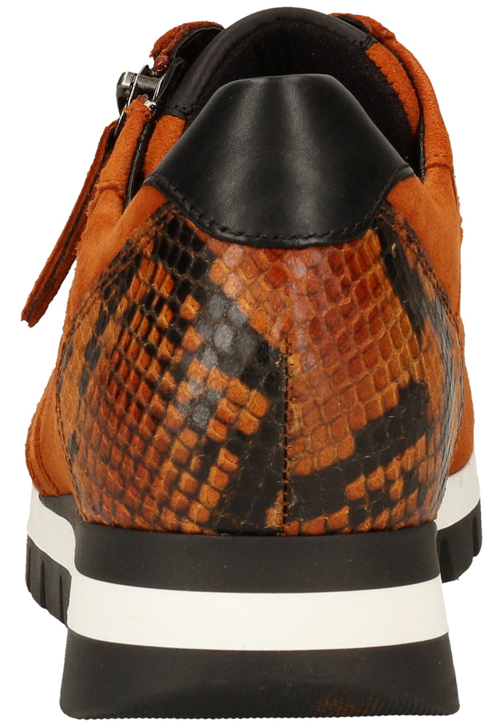 Gabor Sneaker Leder Curry - surf4shoes