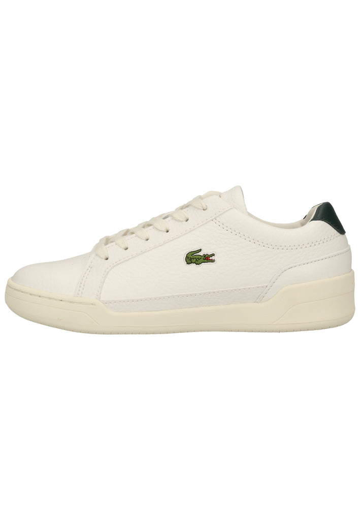 Lacoste Sneaker Leder Weiß/Grün - surf4shoes