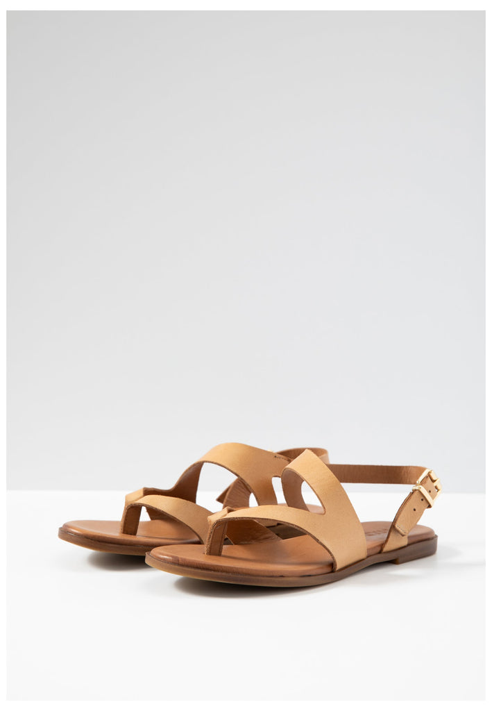 Inuovo Zehensteg Leder Hellbraun - surf4shoes