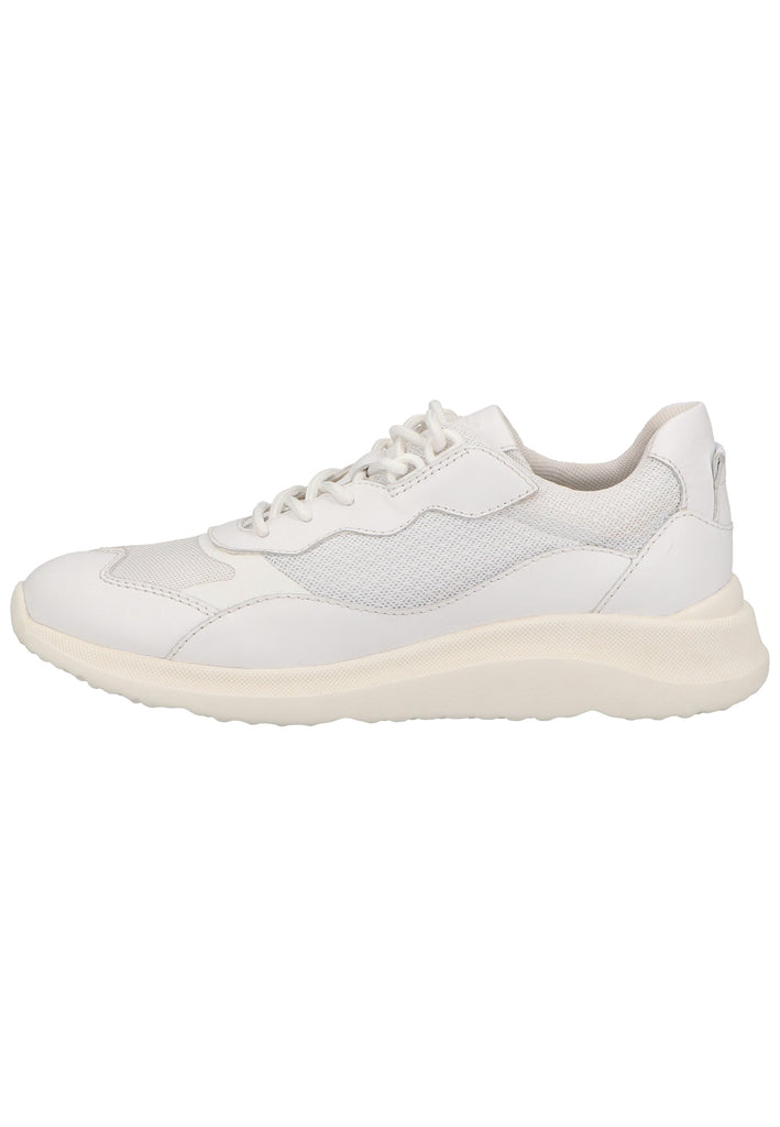 Geox Sneaker Leder/Textil Weiß - surf4shoes
