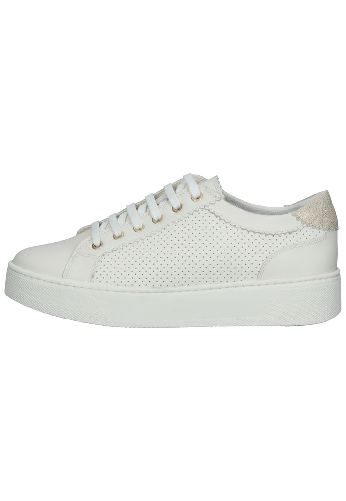 Geox Sneaker Leder/Synthetik Weiß - surf4shoes