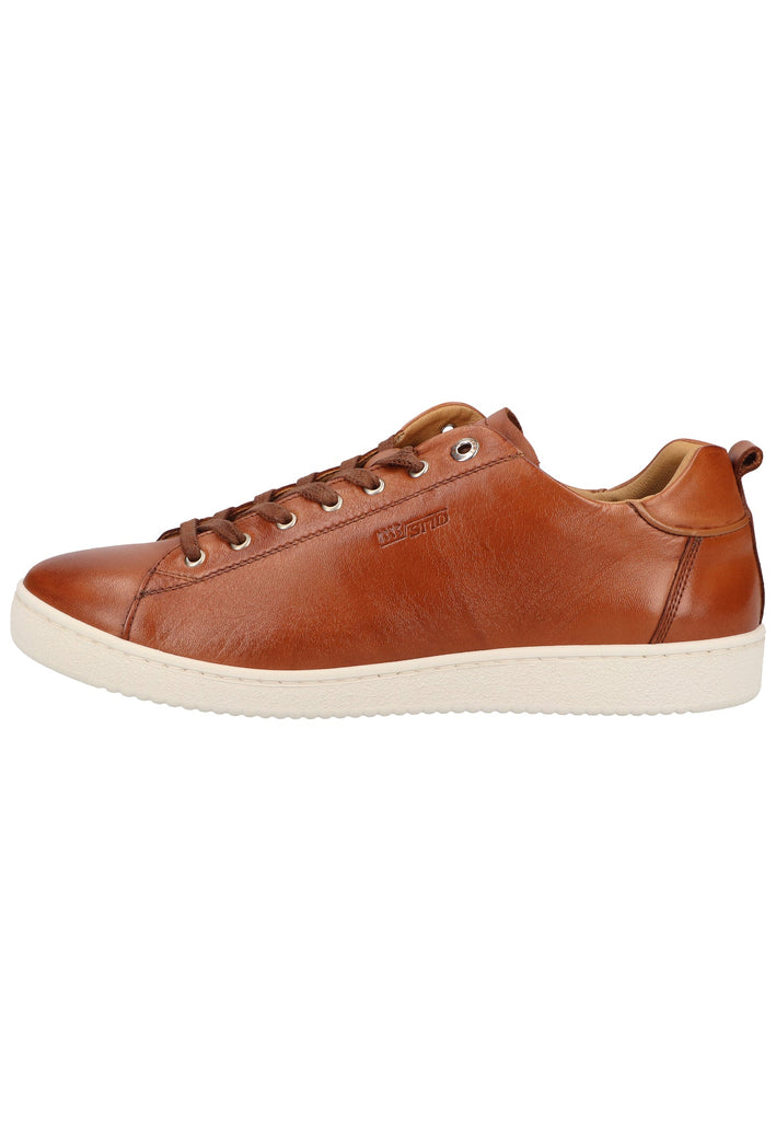 Salamander Sneaker Leder Cognac - surf4shoes
