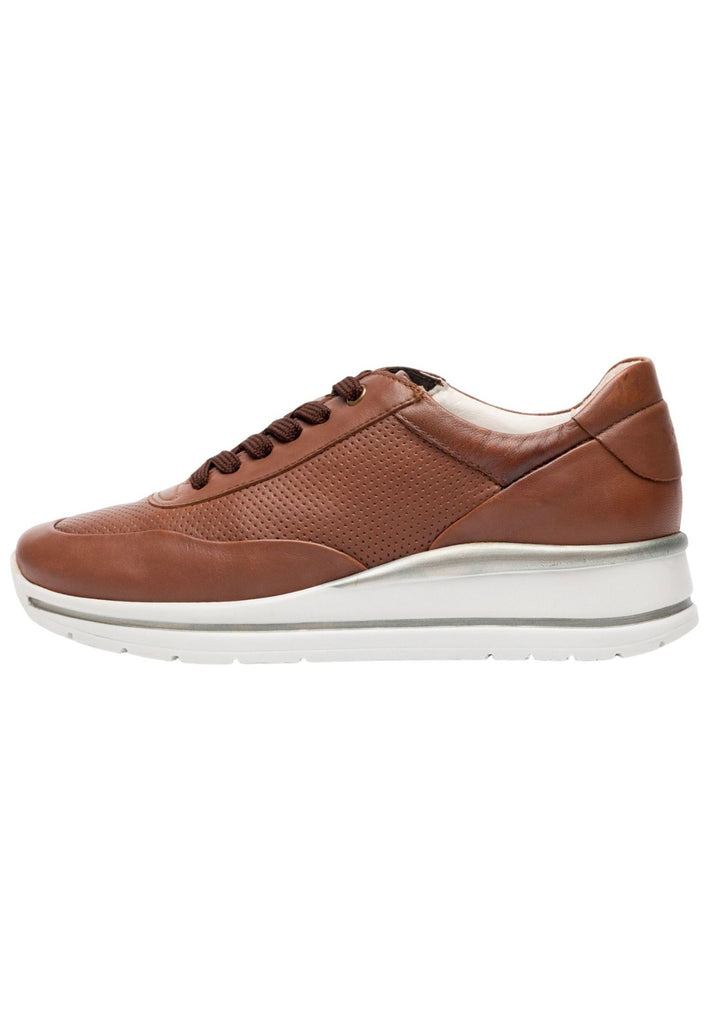 LASOCKI Sneaker Leder Braun - surf4shoes