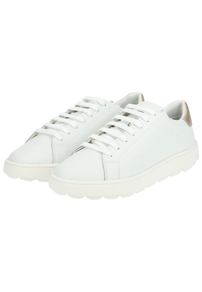 Geox Sneaker Leder/Synthetik Weiß/Gold - surf4shoes