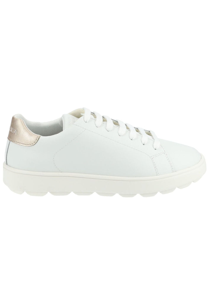 Geox Sneaker Leder/Synthetik Weiß/Gold - surf4shoes