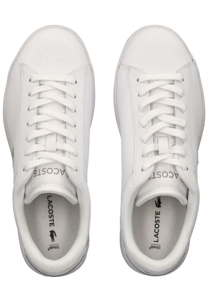 Lacoste Sneaker Leder Weiß/Weiß - surf4shoes