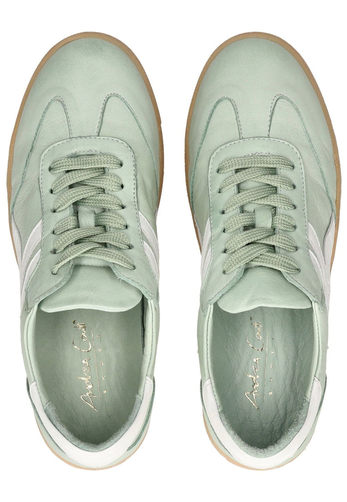 Andrea Conti Sneaker Leder Hellgrün