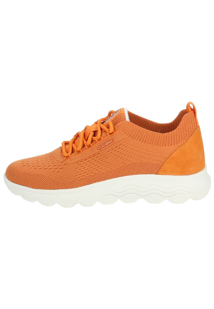 Sneaker Geox Sneaker Leder/Textil Orange