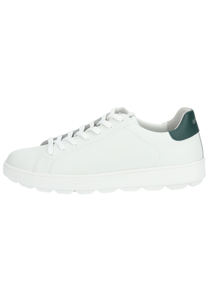 Sneaker Geox Sneaker Leder/Textil Weiß/Grün
