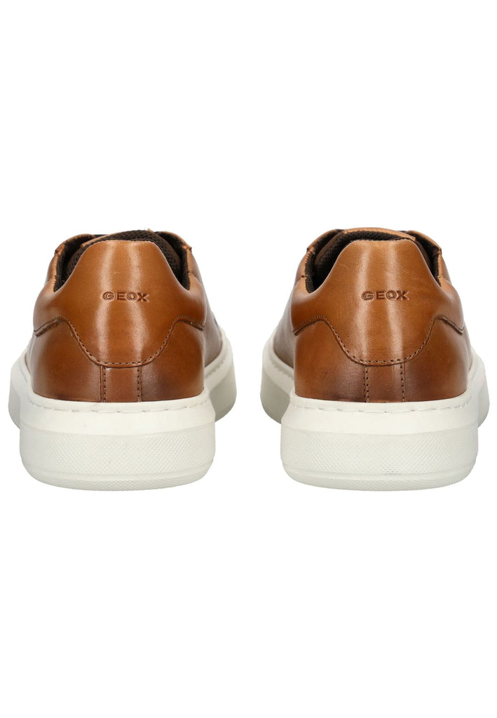 Geox Sneaker Leder/Textil Hellbraun