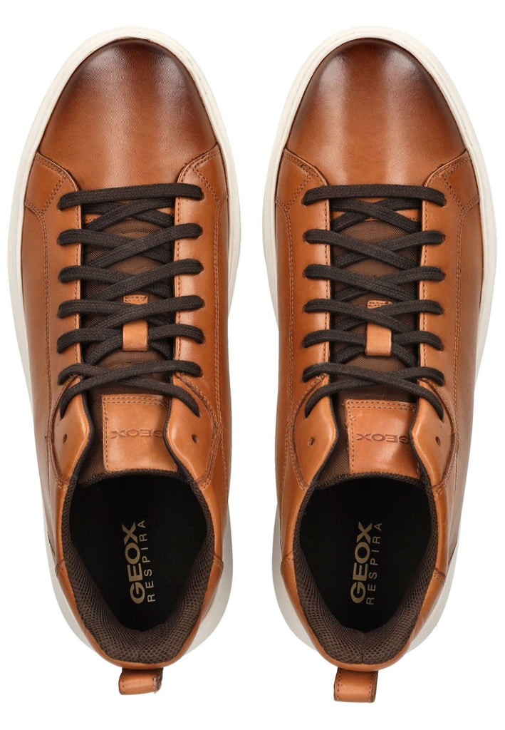 Geox Sneaker Leder/Textil Hellbraun
