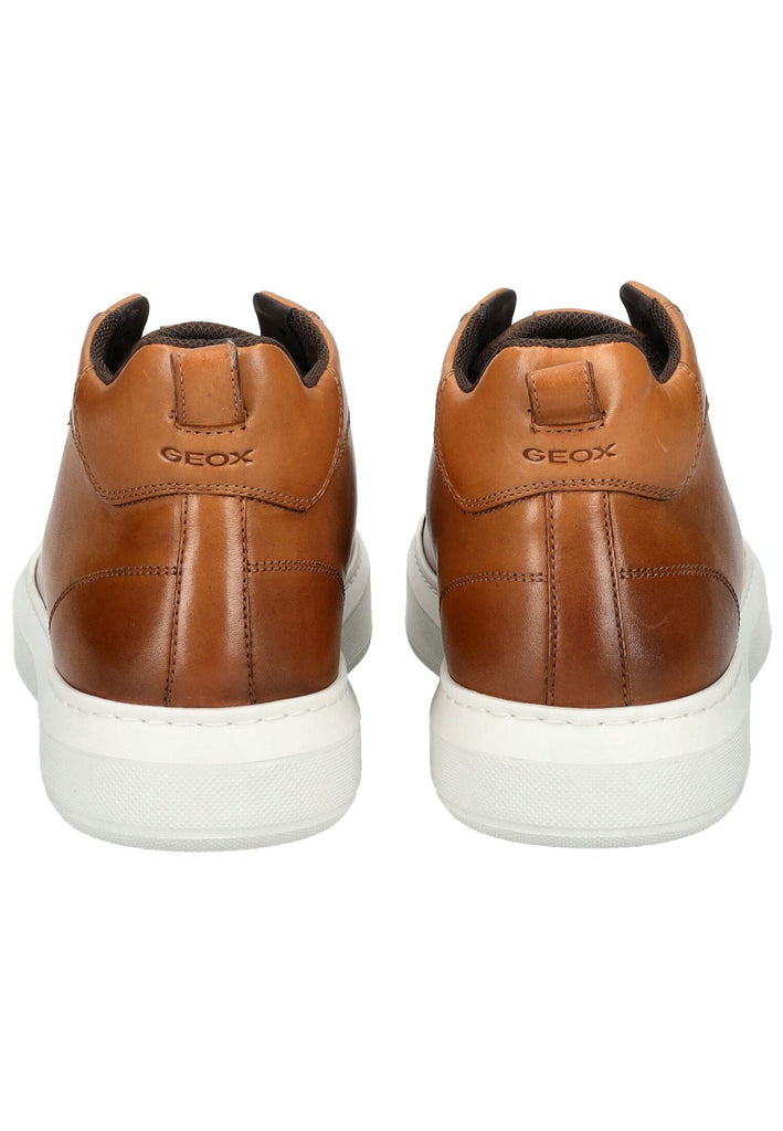Geox Sneaker Leder/Textil Hellbraun