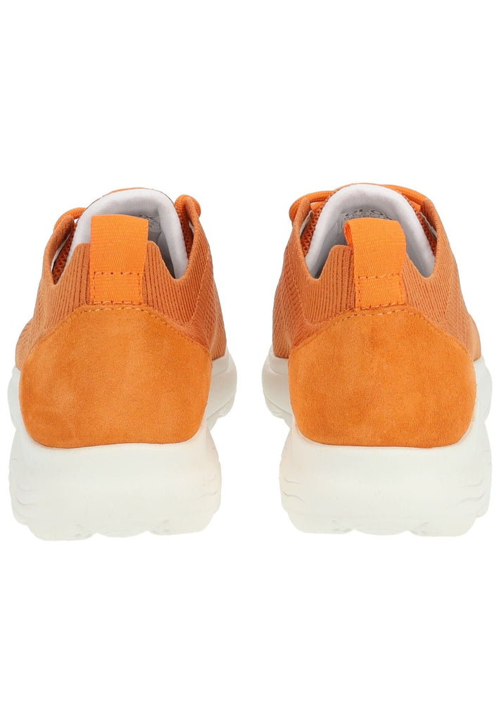 Geox Sneaker Leder/Textil Orange