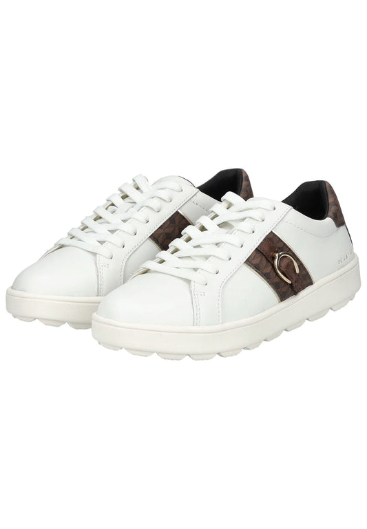 Geox Sneaker Leder/Textil Weiß/Braun