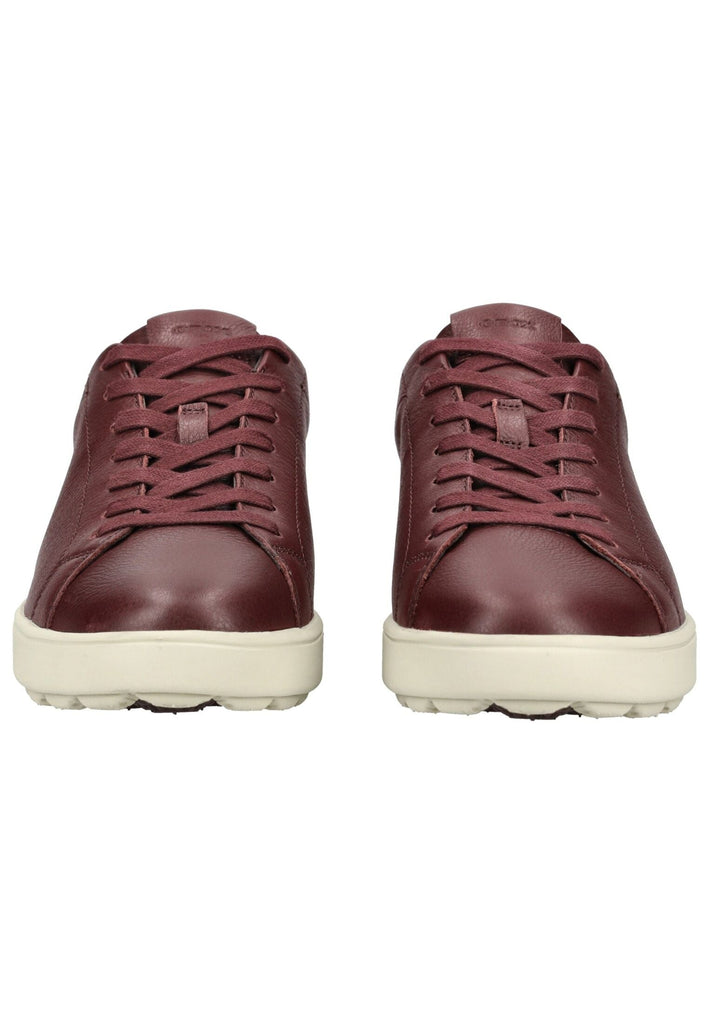 Geox Sneaker Leder Weinrot