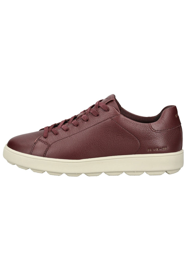 Geox Sneaker Leder Weinrot