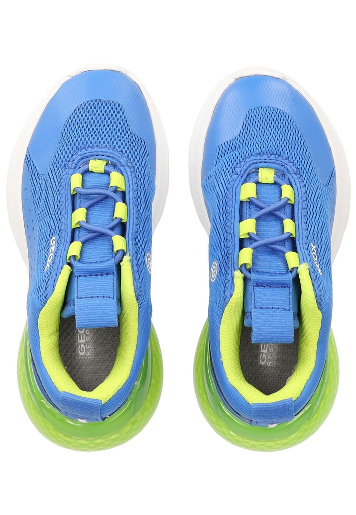 Geox Sneaker Lederimitat/Textil Blau/Grün