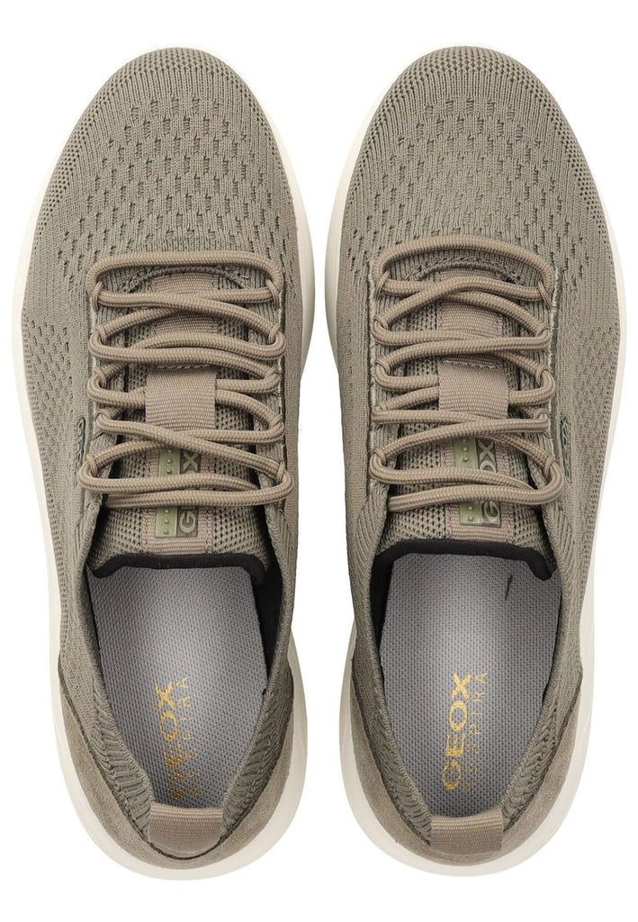 Geox Sneaker Veloursleder/Textil Sage