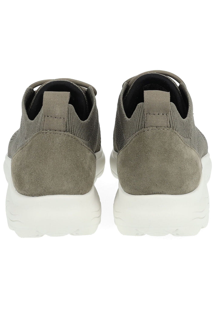 Geox Sneaker Veloursleder/Textil Sage