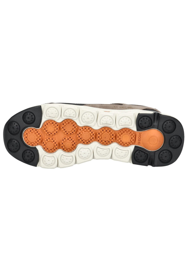 Geox Sneaker Veolurs/Textil/Synthetik Grau/Schwarz