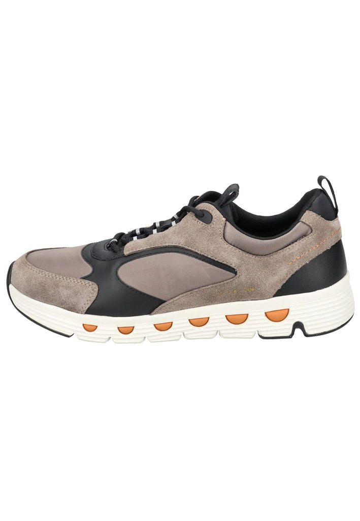 Geox Sneaker Veolurs/Textil/Synthetik Grau/Schwarz