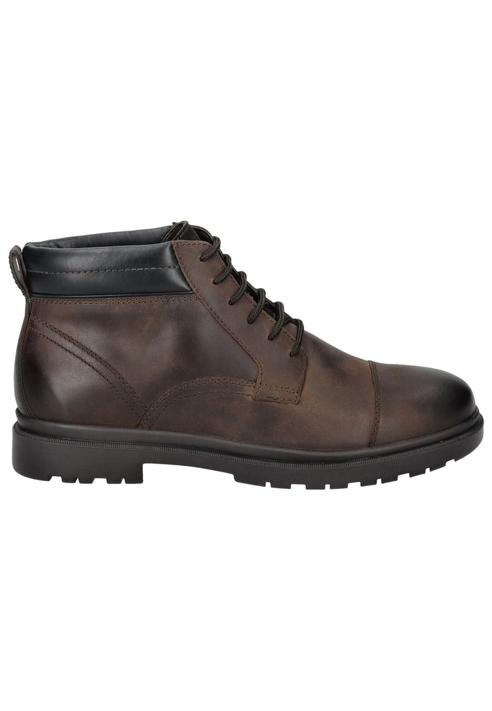 Geox Stiefelette Leder/Synthetik Coffee