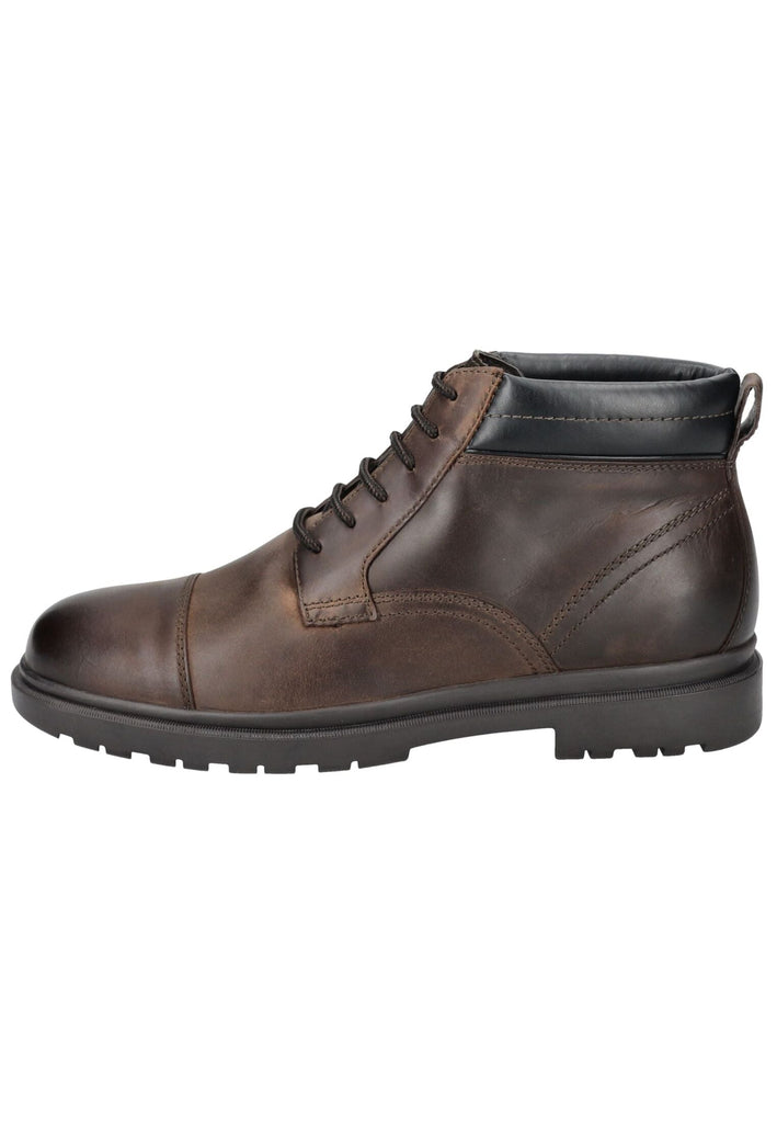 Stiefeletten Geox Stiefelette Leder/Synthetik Coffee