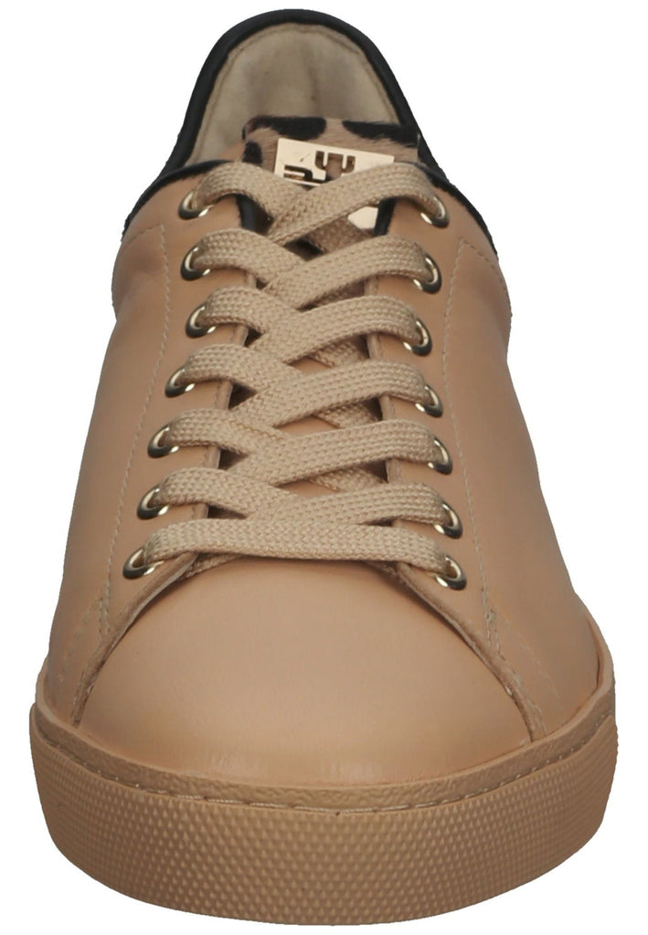 Sneaker Högl Sneaker Leder Sand