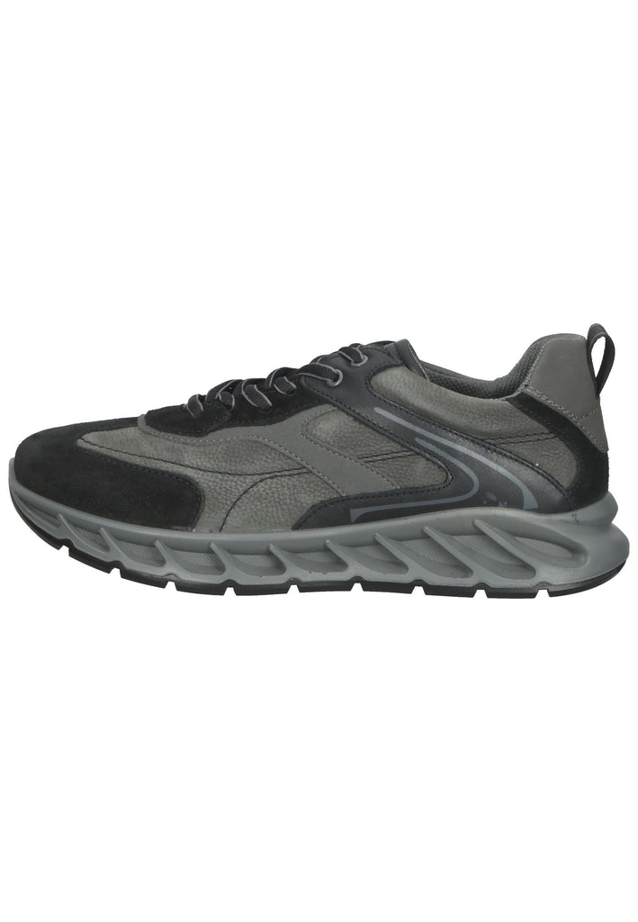 Sneaker IGI&CO Sneaker Nappaleder Antracite