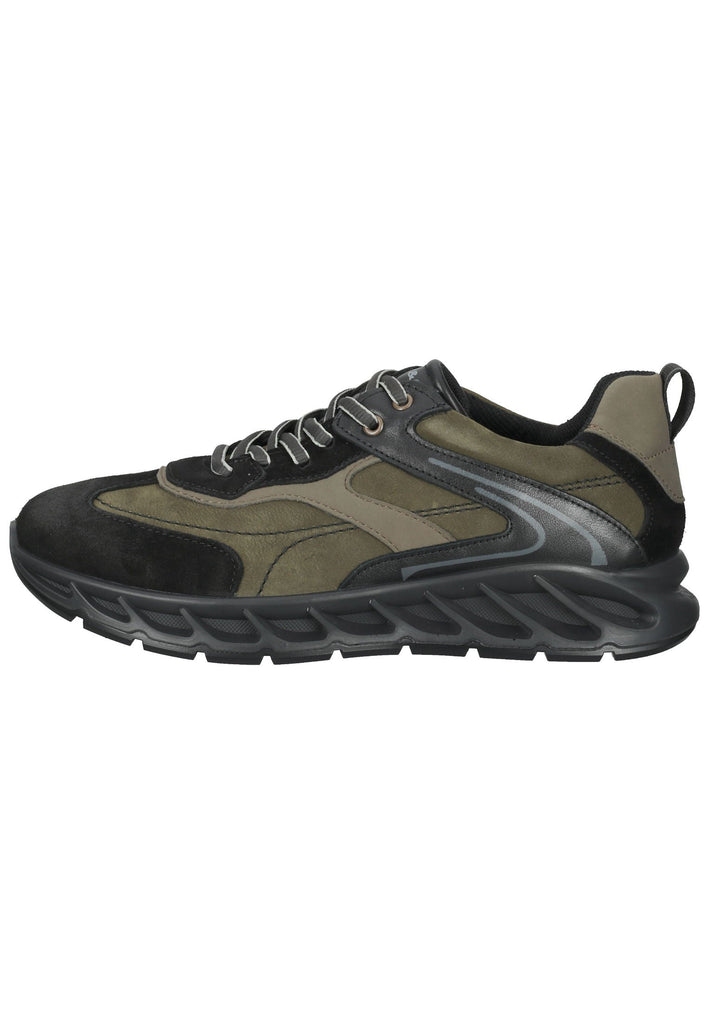 IGI&CO Sneaker Nappaleder Braun/Schwarz