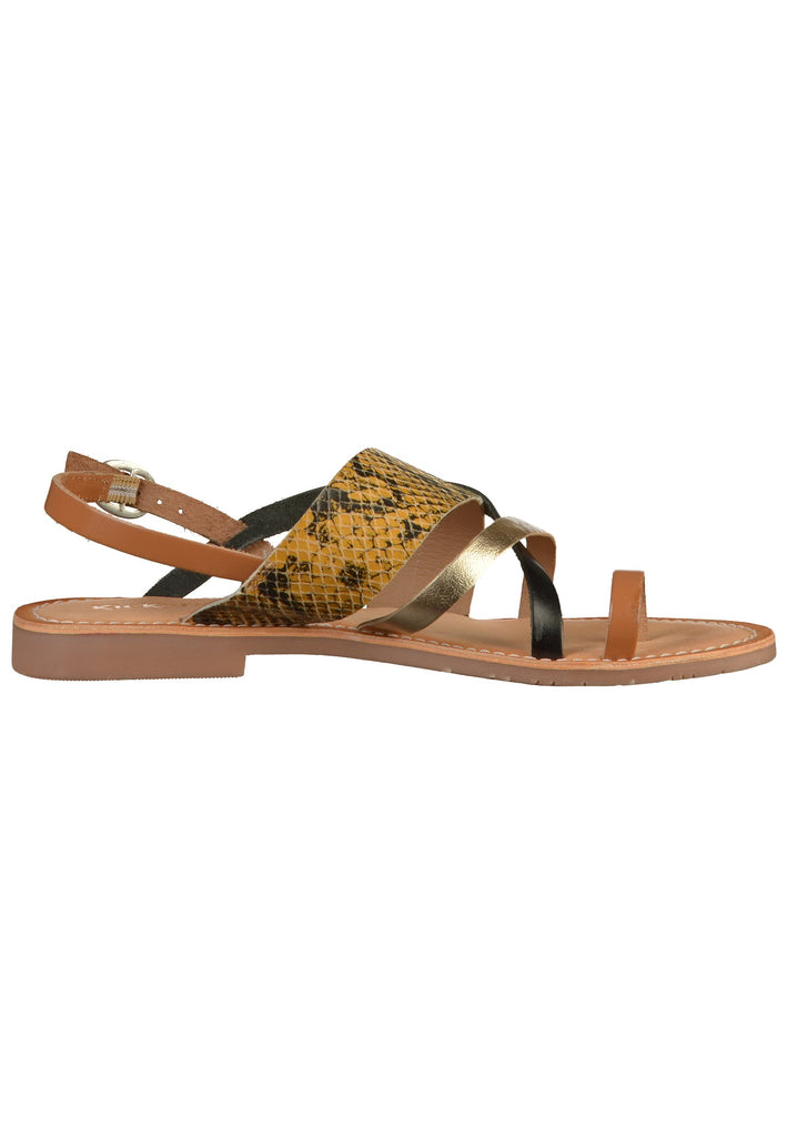 Kickers Zehensteg Leder Camel