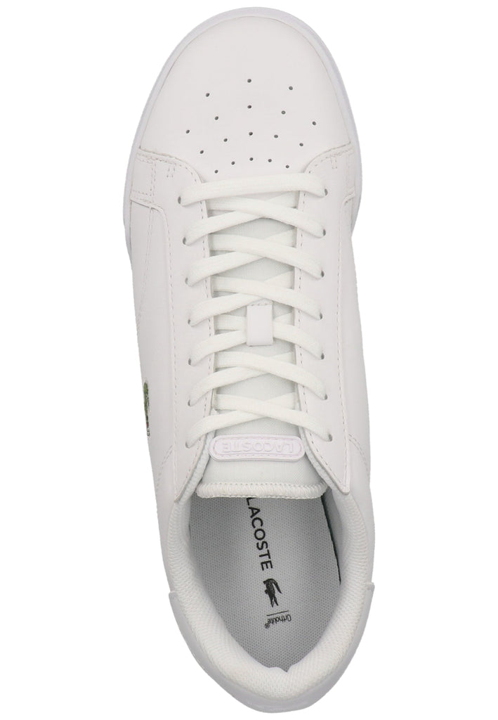 Lacoste Sneaker Leder Weiß
