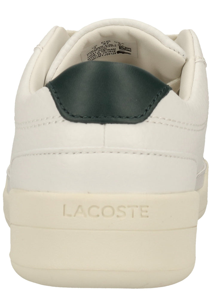 Lacoste Sneaker Leder Weiß/Grün