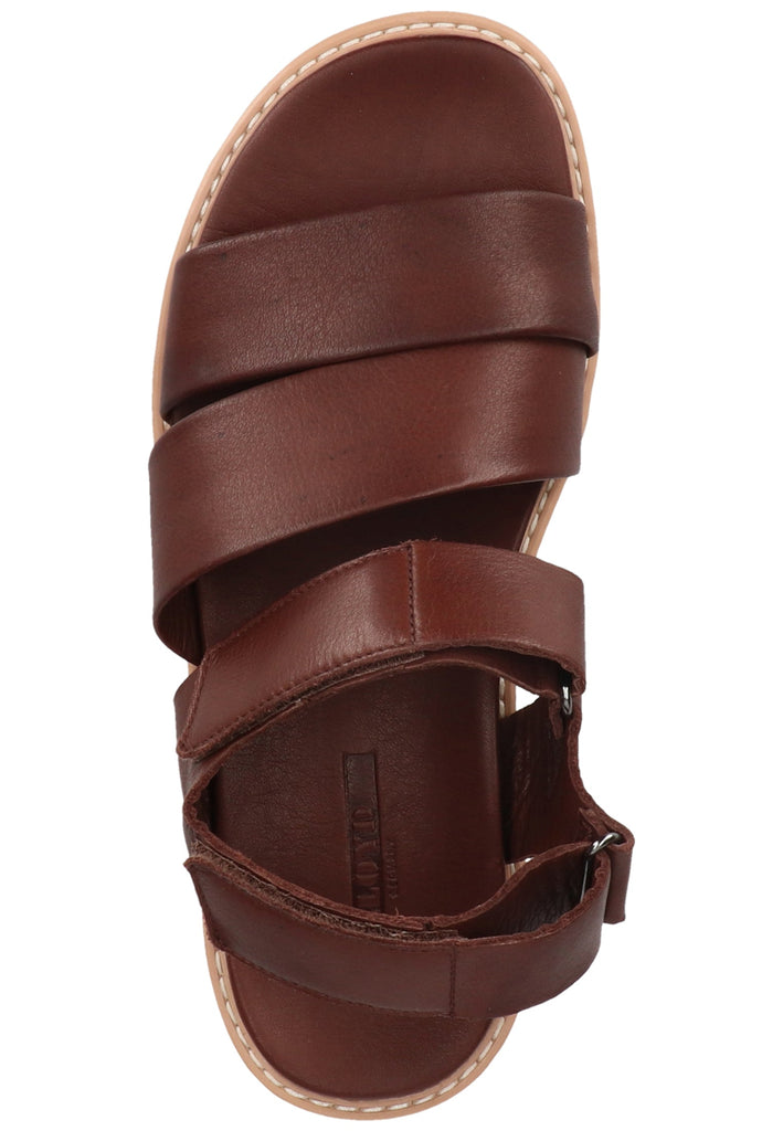 Lloyd Sandalen Glattleder Coffee