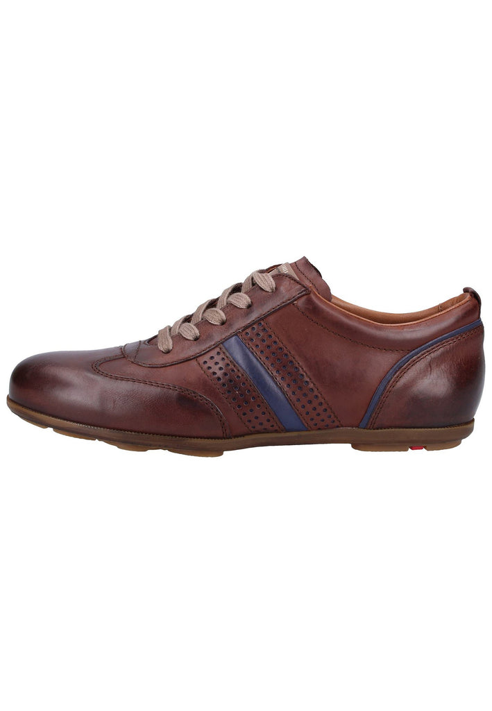 Lloyd Sneaker Glattleder Cigar
