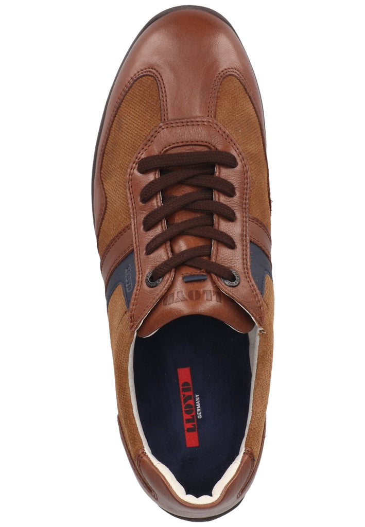 Lloyd Sneaker Leder Braun/Blau