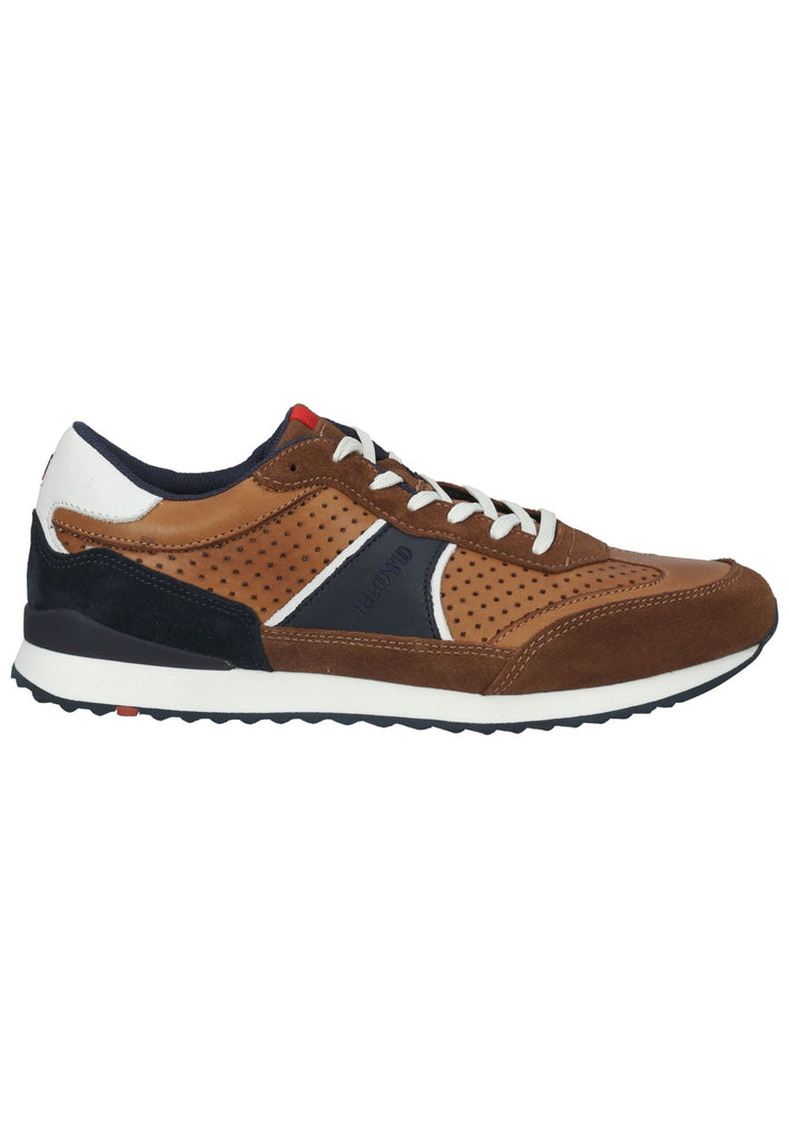 Lloyd Sneaker Leder Cigar