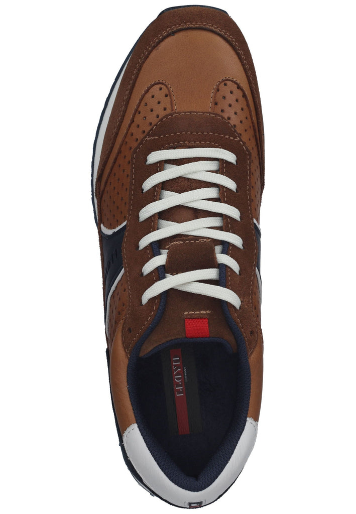 Lloyd Sneaker Leder Cigar