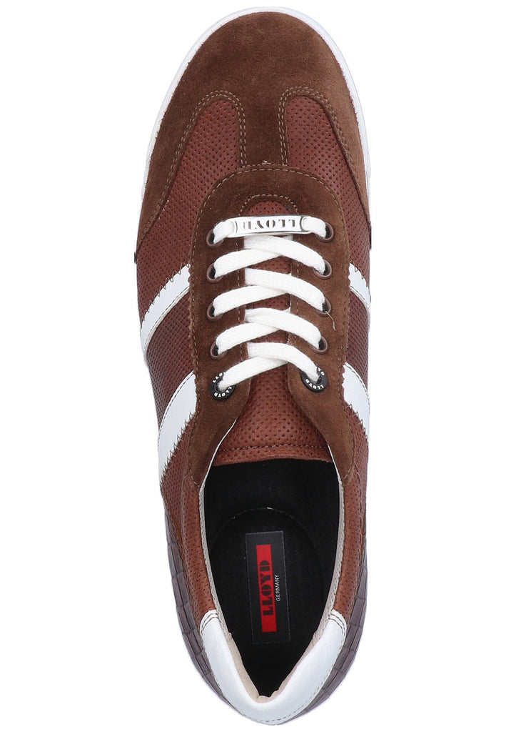 Lloyd Sneaker Leder Cigar